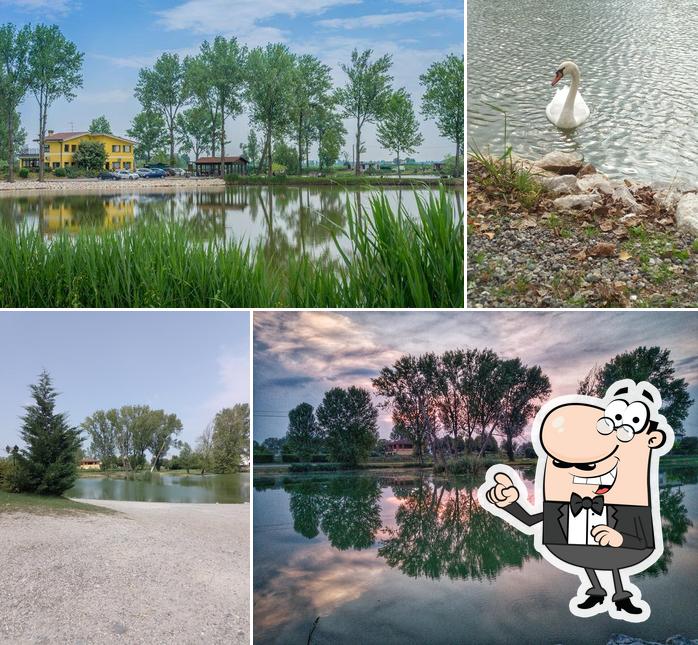 Agriturismo Laghetti Chitina, Carpfishing