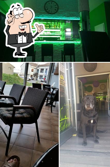 Gli interni di Eden Bar