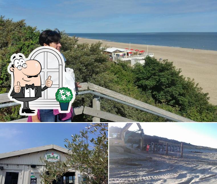 Jetez un coup d’œil à quoi ressemble Basic Beach Bar De Branding à l'extérieur