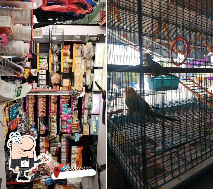 Check out how Dwarakas Scooby Doo looks inside