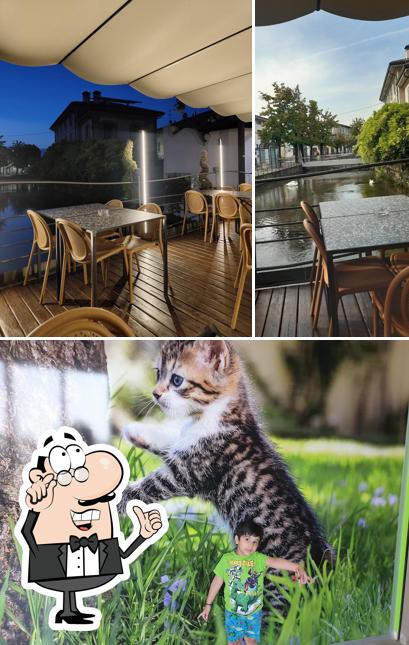 Dai un'occhiata agli interni di Selmo Café Wine & Spirits Bar