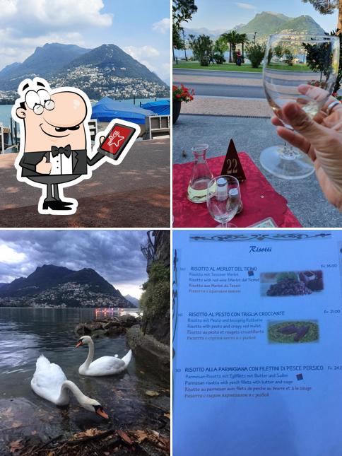 Gli esterni di Ristorante Pizzeria Terrazza delle Stelle