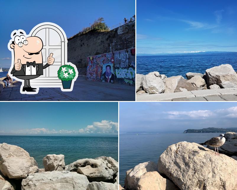 Goditi la vista dagli esterni di Specializirana okrepčevalnica pizzeria ˝Flora˝, Ljubica Imeri s.p