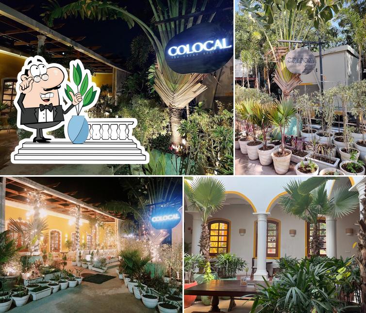 Colocal Chocolates! Dhan Mill