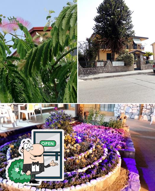 Guarda gli esterni di Ricci Park Hotel