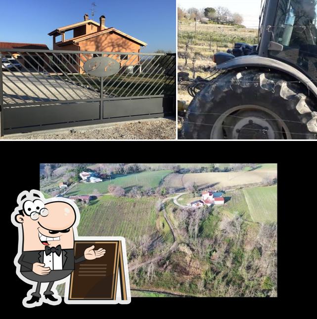 Goditi la vista dagli esterni di Vigna degli Estensi