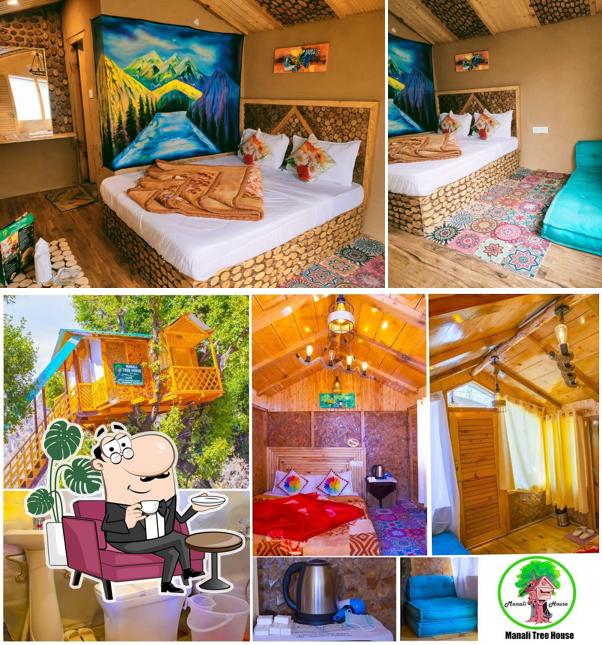Check out how Manali treehouse & cafe looks inside