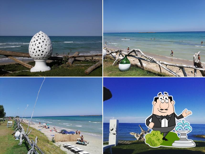 Guarda gli esterni di Guna Beach Club