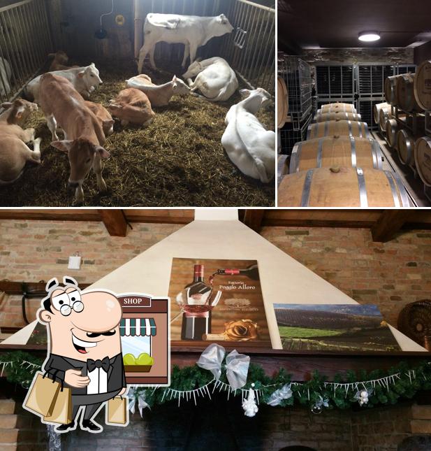 Gli esterni di Fattoria Poggio Alloro