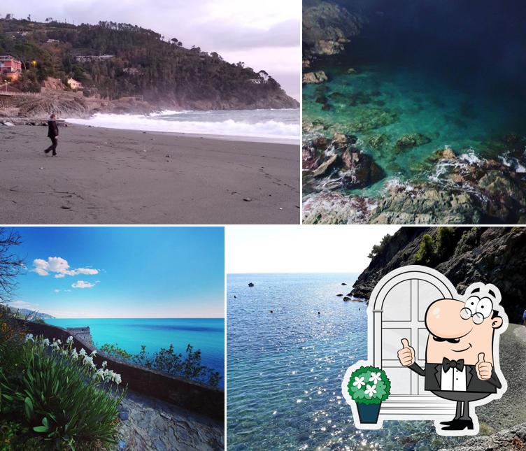 Caffè delle Rose di Tiziana Ratto