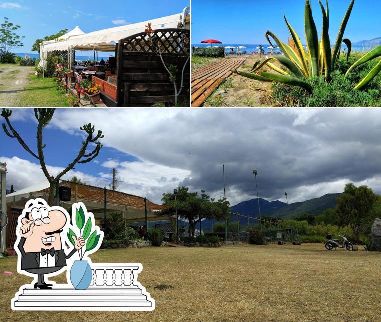 Goditi la vista dall'area esterna di Lido la Duna