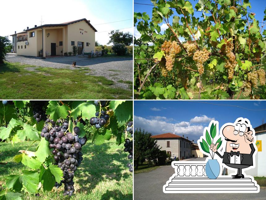 Agriturismo del merlo