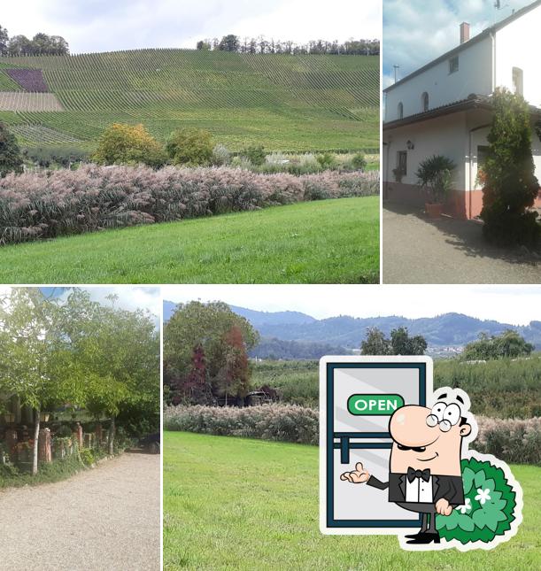 Landgasthof zur Schwarzwaldtanne