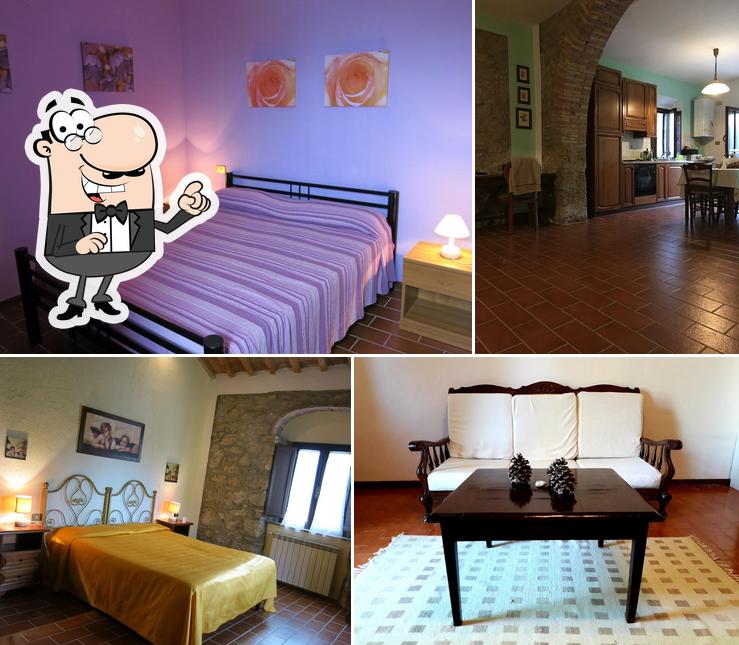 Agriturismo il Palagetto