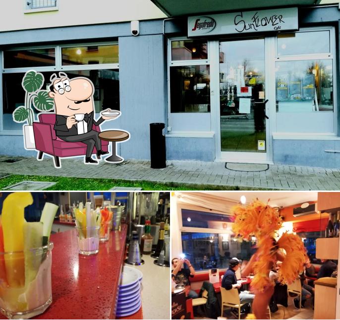 Dai un'occhiata agli interni di Sunflower Cafè