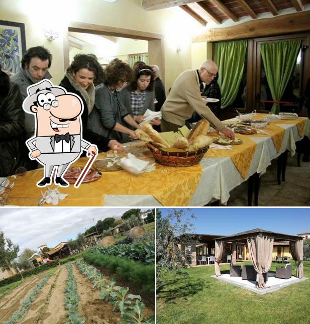 Curiosa tra la parte esterna di Locanda Cupelli