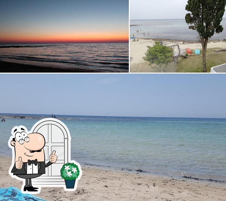 Guarda gli esterni di Bar Il Ponticello