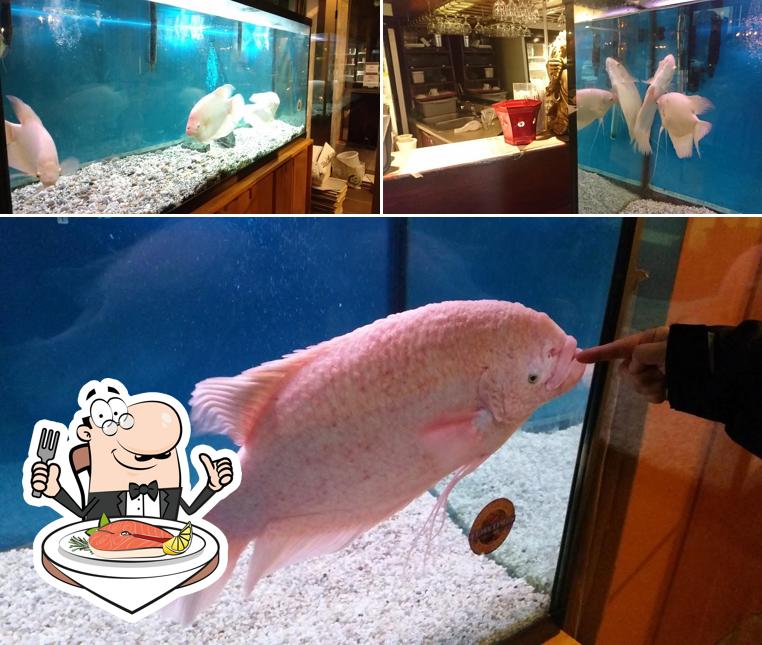 Restaurant Chez Lien offre une sélection de plats à base de poissons