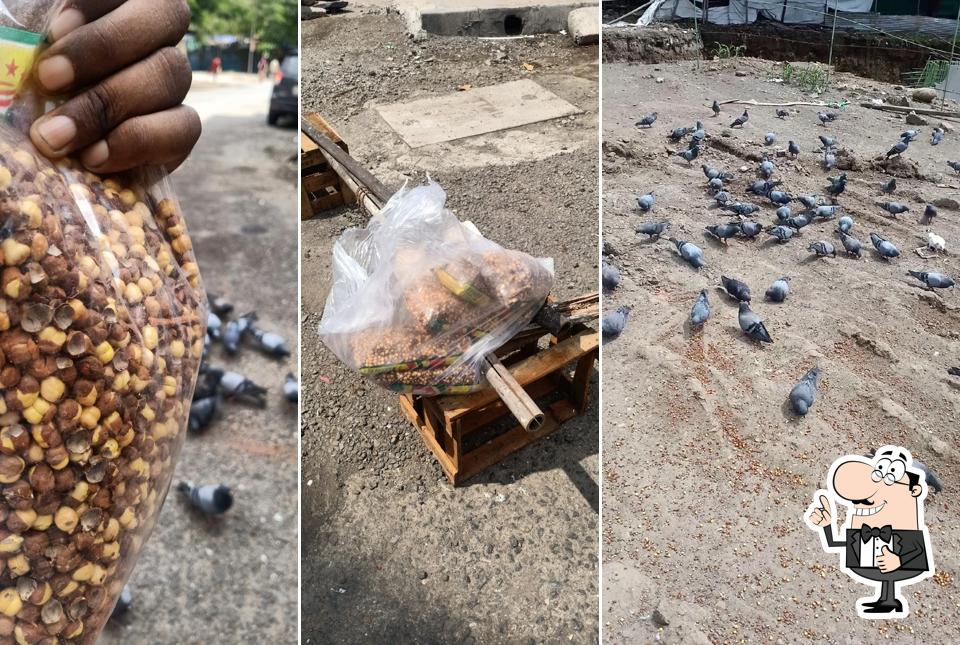 See this photo of Shegaon Kachori