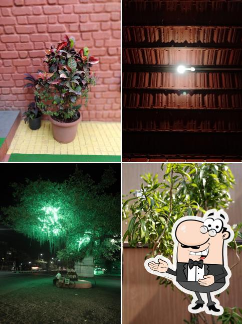 Food Lovers Family Garden