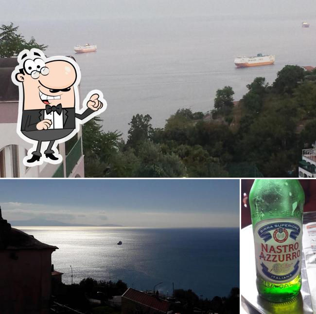 Curiosa tra la parte esterna di Bar Royal Di Avallone Francesco