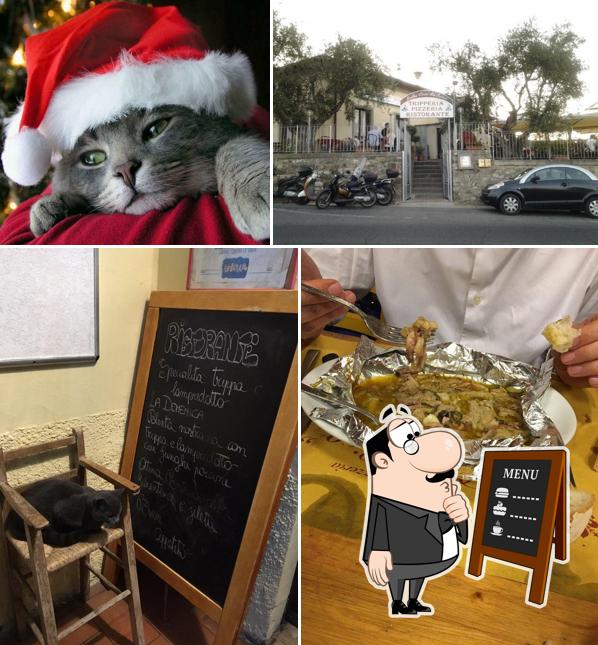 Leggi le specialità del giorno sulla lavagna