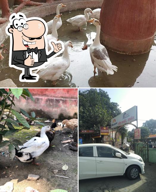 Here's an image of Gol Market Saket