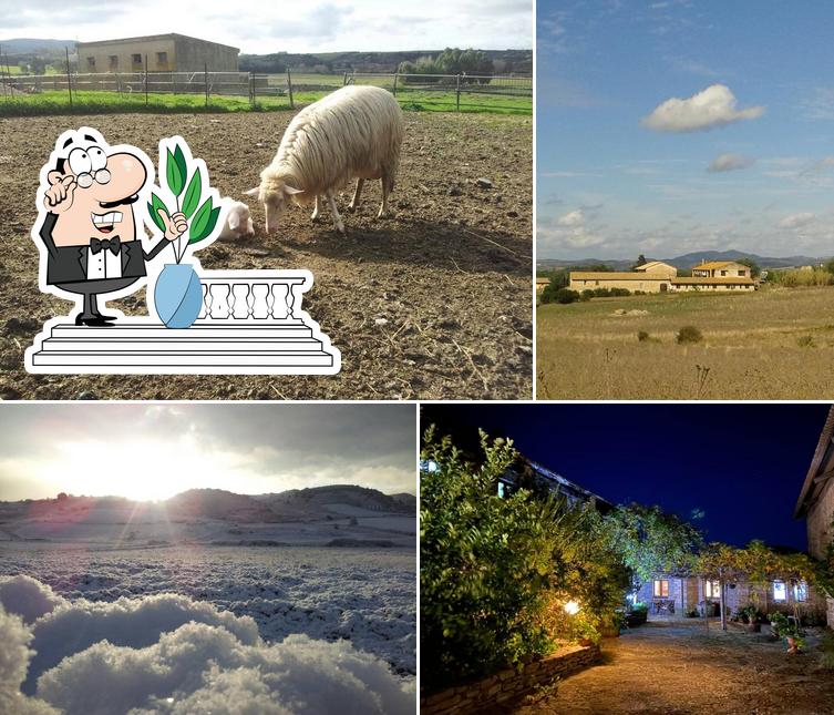 Agriturismo Furfullanu