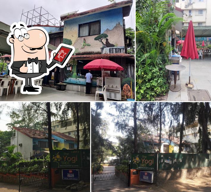 Check out how Yogi Tree looks outside