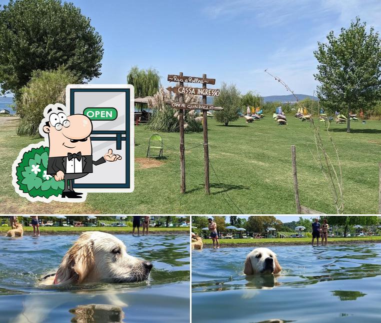 Goditi la vista dagli esterni di Riva di Polline