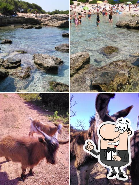 Gli esterni di Agriturismo La Lucia