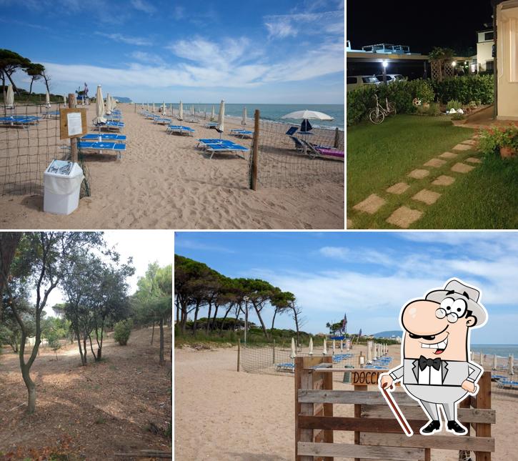 Pineta Beach - Beach Club, Dog-beach, Restaurant, Bar,