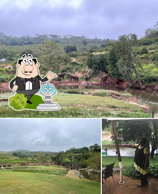 Hippo Hollow Restaurant