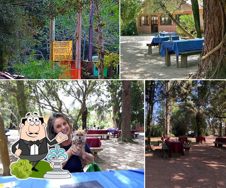 Dê uma olhada a foto ilustrando exterior e interior no Ponto do Filé Cantagalo
