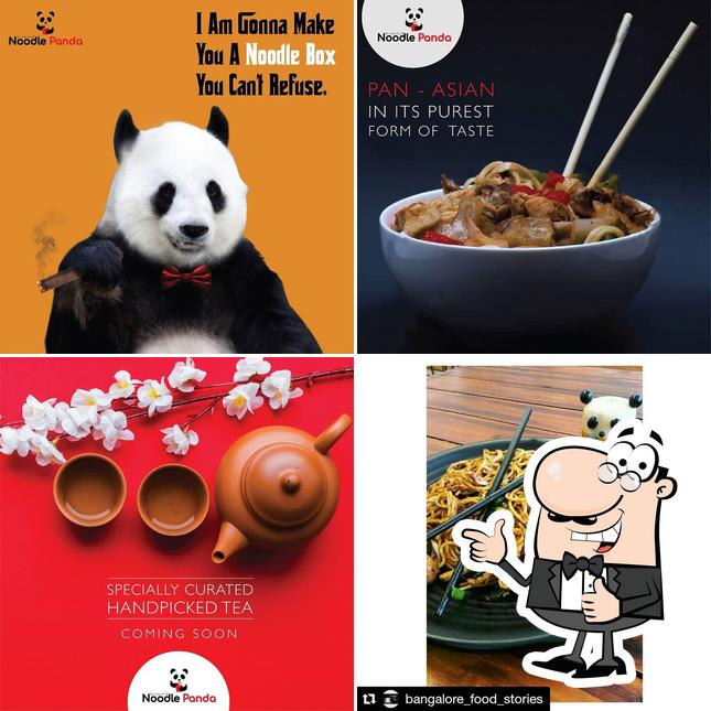 Here's an image of Noodle Panda