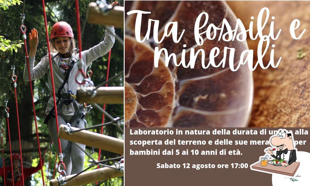 Cibo al BOSCOPARK Parco Avventura