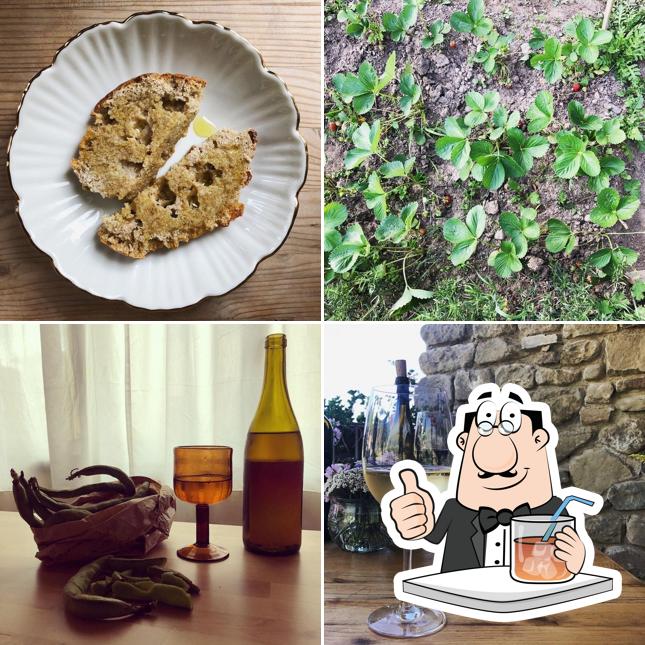 Sàgona osteria e azienda agricola