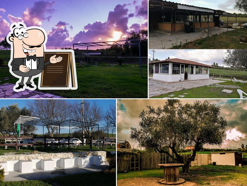 Asd nuova culla della trota