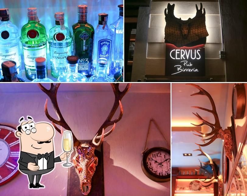 Cervus Pub Birreria