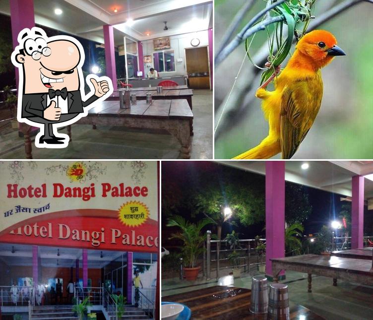 Hotel Dangi Palace