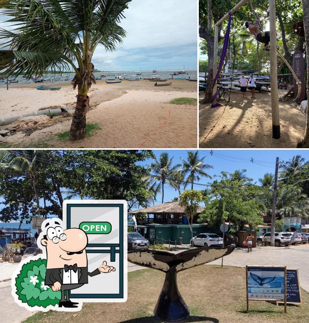 ITC - Itacaré Training Concept