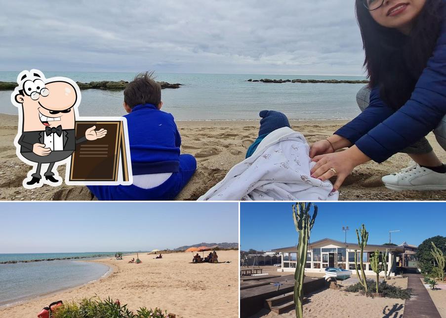 Dai un’occhiata alla immagine che raffigura la esterno e cibo di OASI BEACH OSTERIA DEL MARE