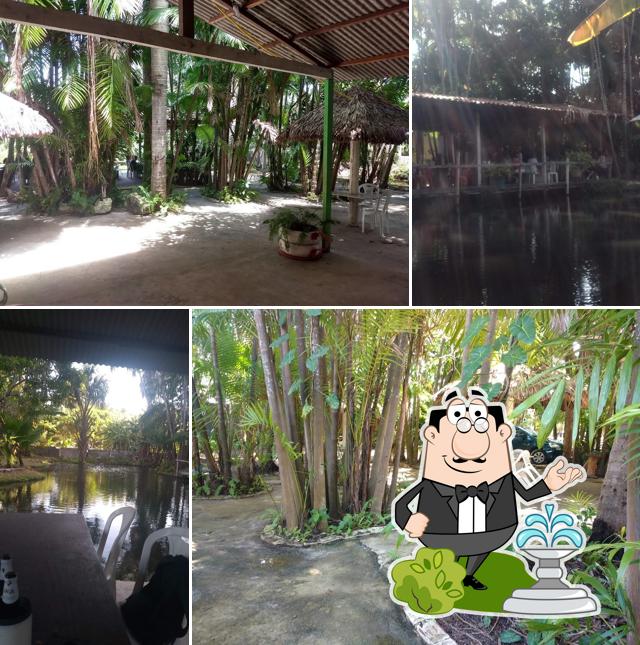 Restaurante Don Don