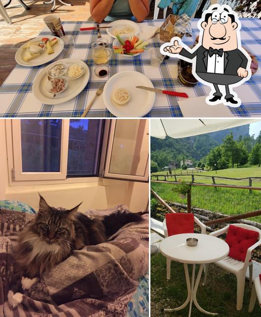 Questa è la foto che presenta la interni e cibo di Chiosco La Quiete