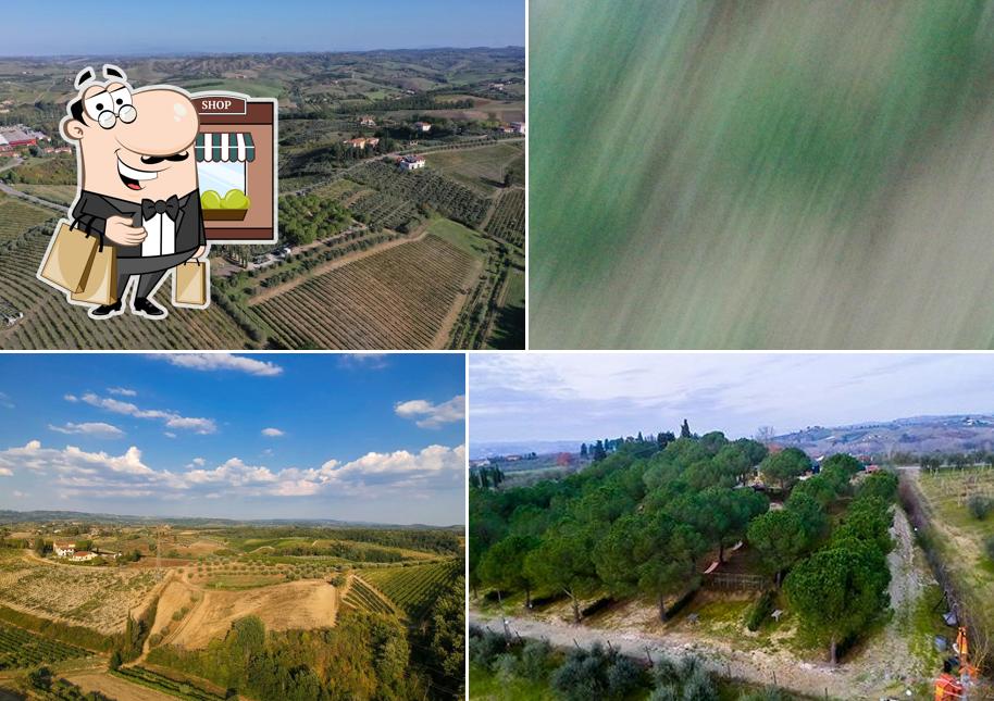 Puoi goderti l'aria fresca dal dehors di Agricamping area di sosta camper Poggio ai Pini (Wine Camping )