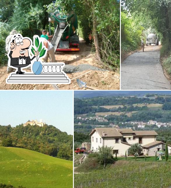 Il Collicello