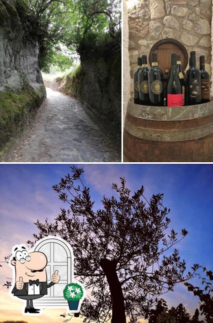 La immagine della esterno e alcol di La Sosta di Bacco