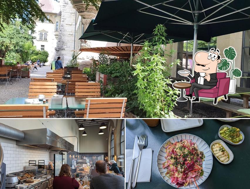 Dai un’occhiata alla foto che mostra la interni e cibo di Restaurant Steinhalle
