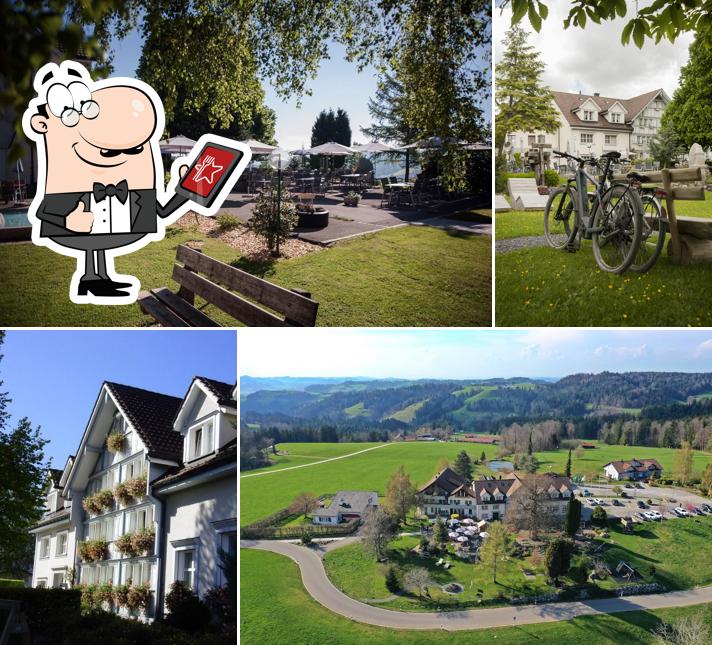 Hotel Wolfensberg