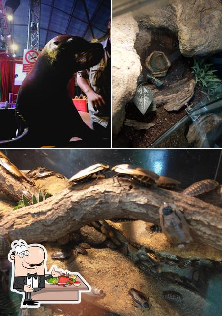 Prova la cucina di mare a Chiosco del Pop Corn